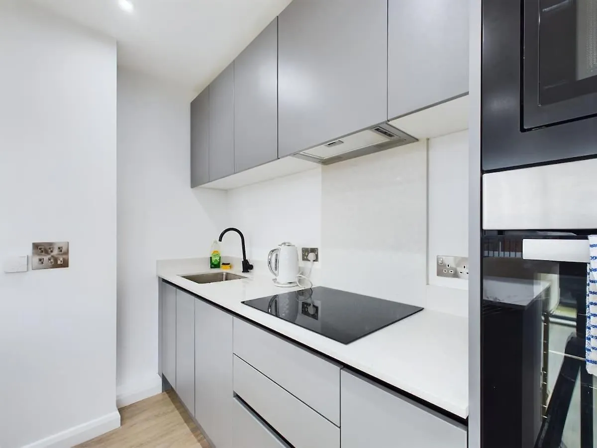 Apartment 3 Bedroom Penthouse With Spacious Terrace City Center Belfast